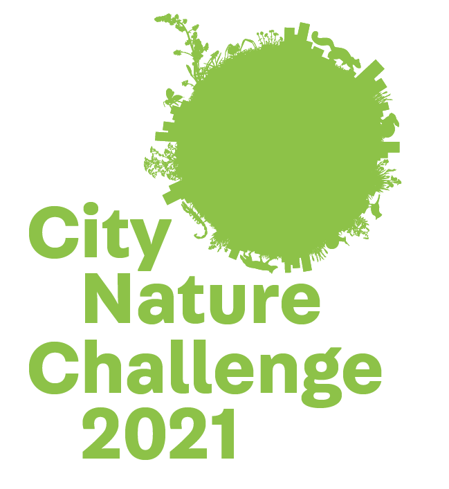 City Nature Challenge 2021