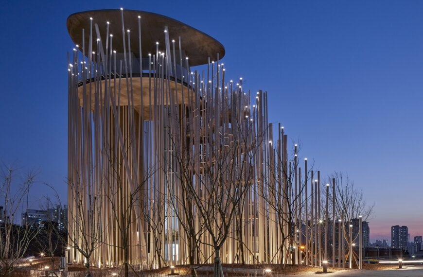 Create an artificial forest and establish a relationship between the natural and the artificial