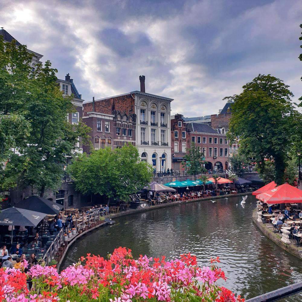 The "Up-And-Coming" City and how to discover it