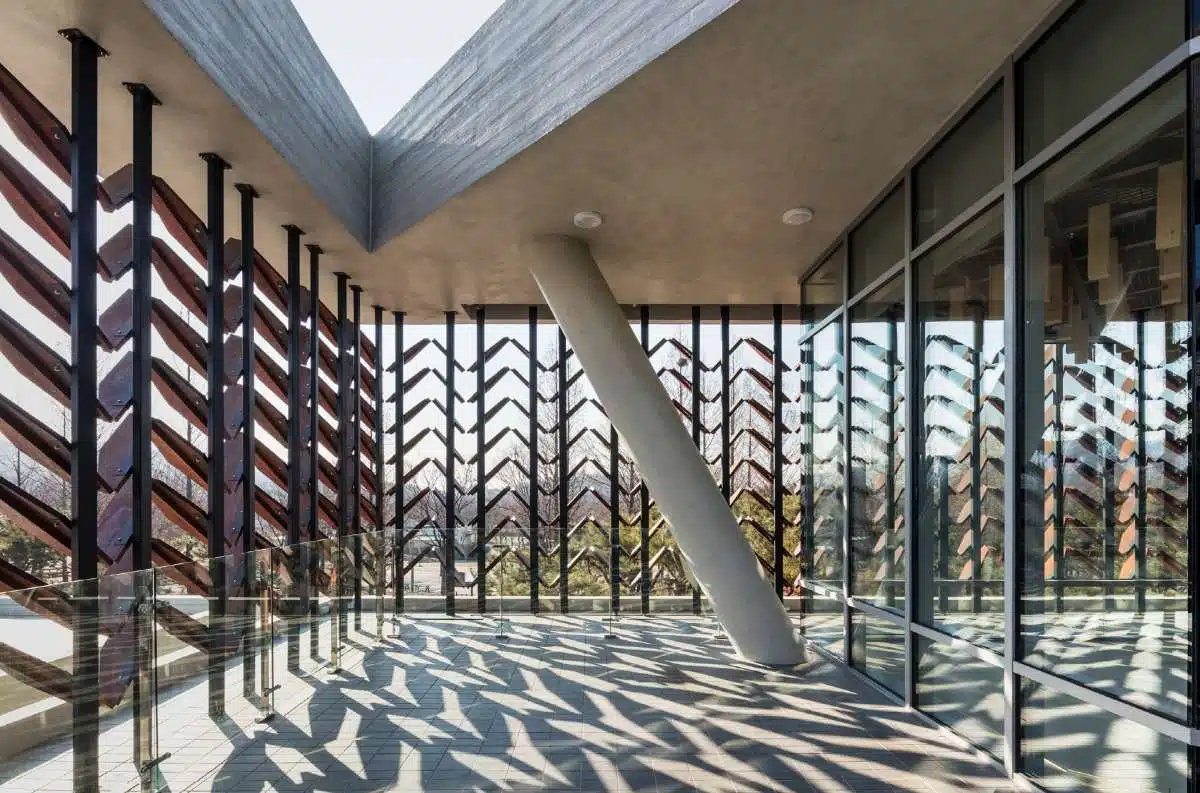 A space for the sensory experience of trees