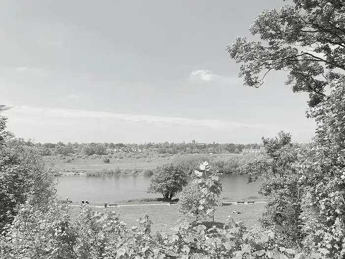 Birdwatching in the Chester Meadows | Larsen Liverpool