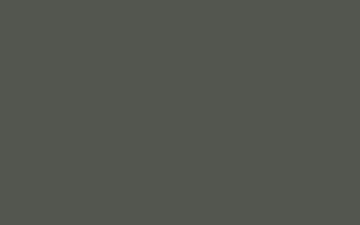 Little Greene Pompeian Ash (293) – Intelligent ASP (All Surface Primer) / 1 Litre
