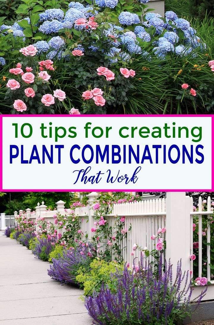 These tips for creating plant combinations in your yard will help make your garden…
