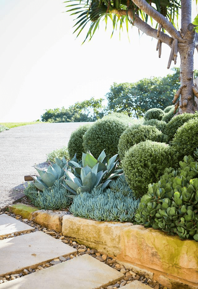 Jaw-dropping sea views on three sides were an instant plus for this headland garden…