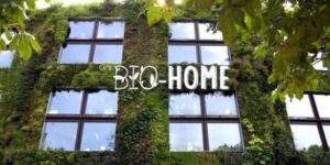 Bio-Home - Biophilia for the everyday life | المنزل الطبيعي - بيوفيليا للحياة اليومية