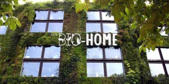 Bio-Home – Biophilia for the everyday life