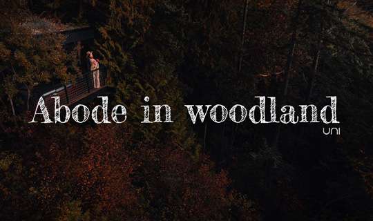 Abode in woodland - Designing a treehouse amidst the woods. | الإقامة في الغابة - تصميم منزل الشجرة وسط الغابة.
