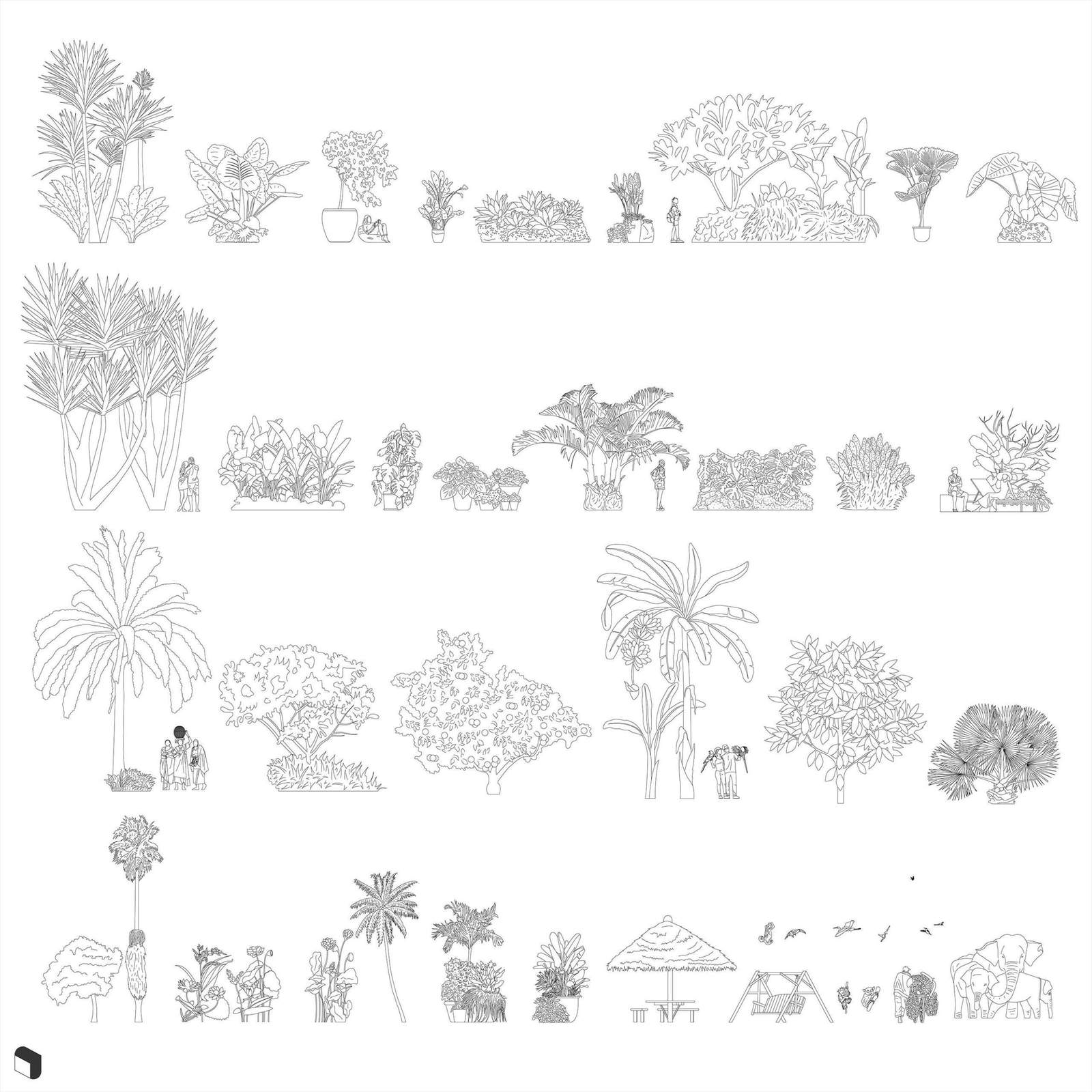 Cad Tropical Garden Vegetation ArchUp