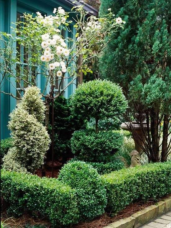 Adding evergreens to your landscape is one of the easiest ways to add color…