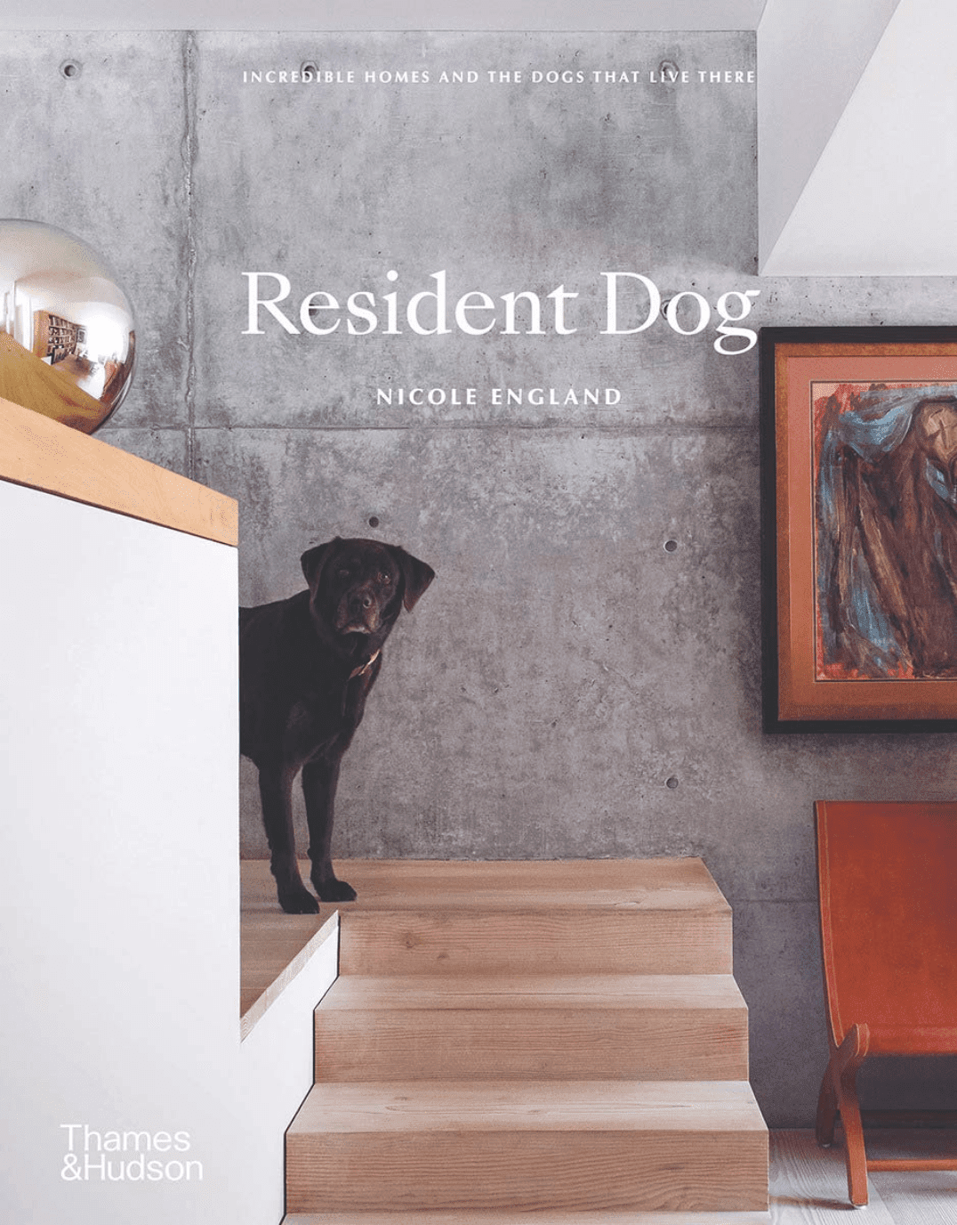 Resident Dog: Stylish Homes and the Dogs that Live There