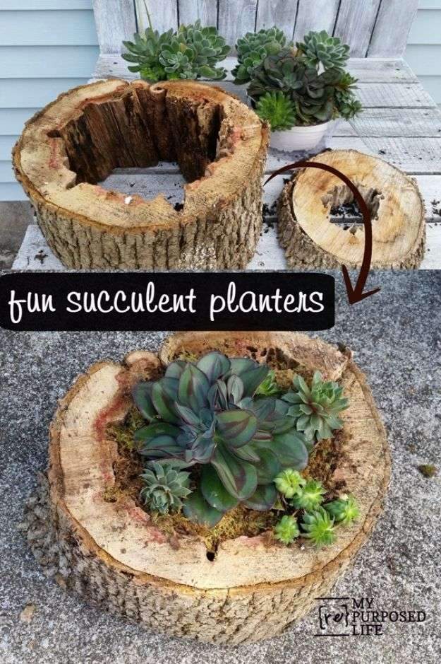 DIY Landscaping Hacks – Succulent Planter From Rotted Tree Trunk Pieces – Easy Ways…