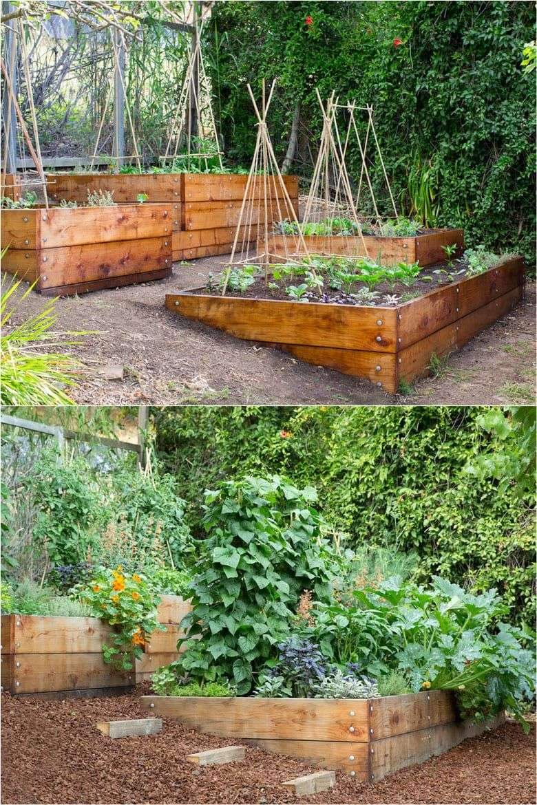 7 best vegetable garden layout ideas on soil, sun orientations, spacing, edible planting varieties,…