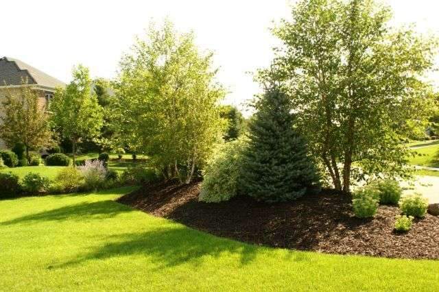 Berms—landscaper speak for small mounds—are used to create a border between properties or break…
