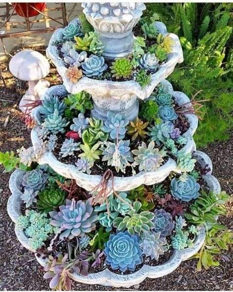 Succulents are beautiful, unique garden plants. Their texture and colors are a sure way…