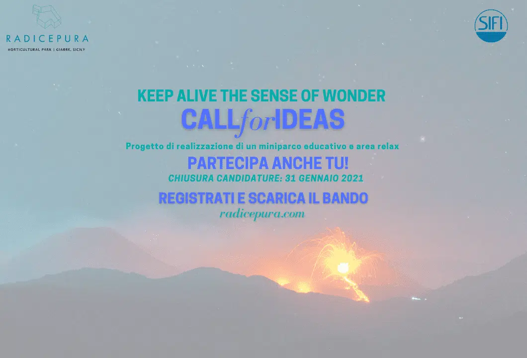 Keep Alive the sense of Wonder