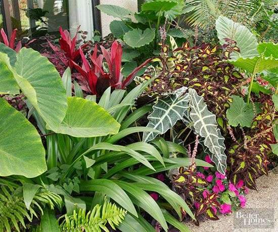 What plants go together? Pairing plants by color, season of bloom, and shape can…