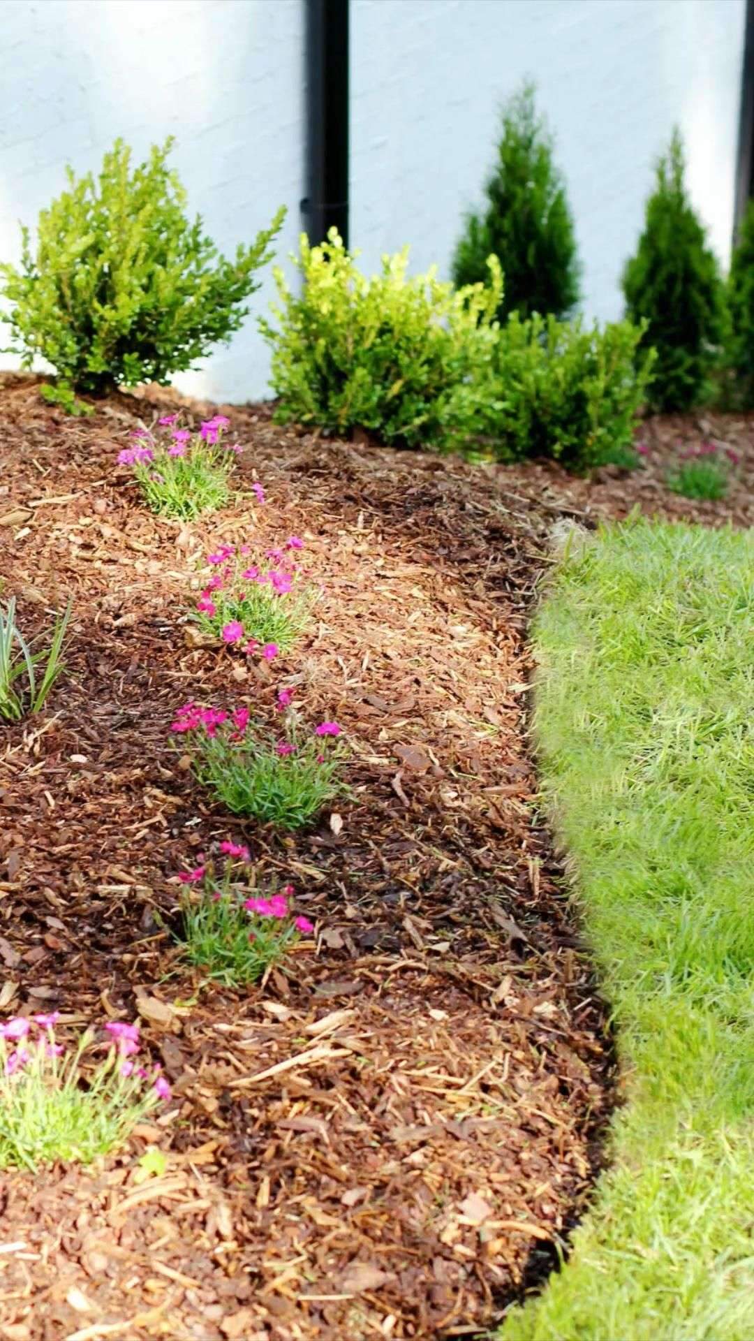 How to Edge a Flower Bed Like a Pro