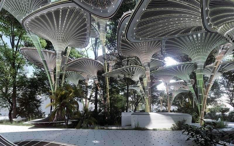 The Misty Oasys: Cool Down Under the Mushroom Canopies
