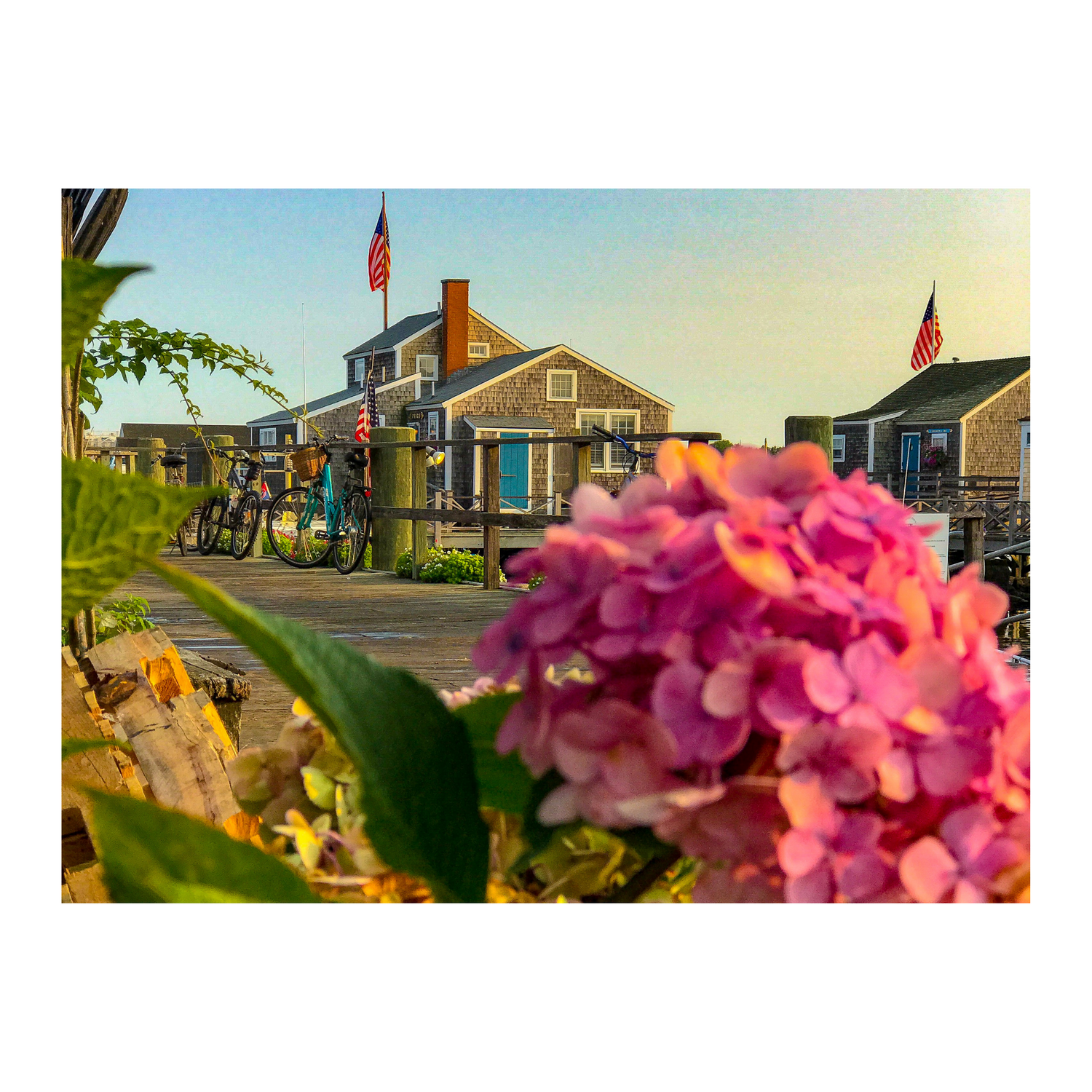 The Cottages and Floral – Landscape / 20×30 (Print Only)