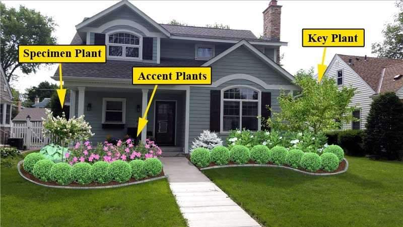 When designing any plant bed, there are 3 main plants you’ll want to focus…