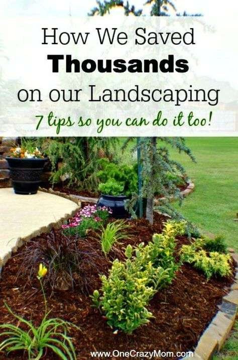 Use these money saving landscaping tips to save big on landscaping. 7 Money saving…