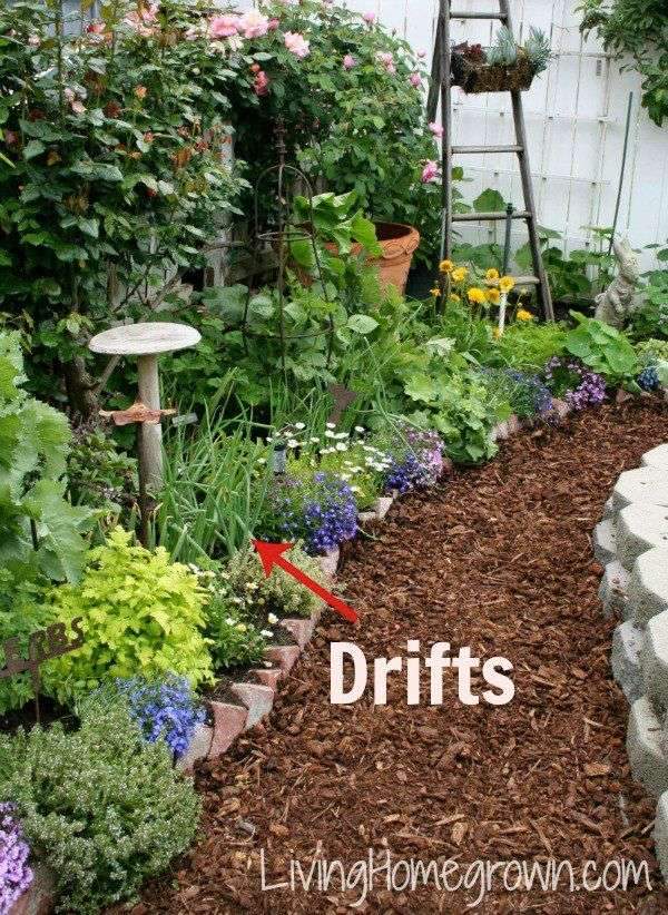 Plant in Drifts:A drift is the opposite of a row and is usually laid…