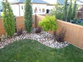 Dress up the corner of your yard with small trees/shrubs! If you need some…