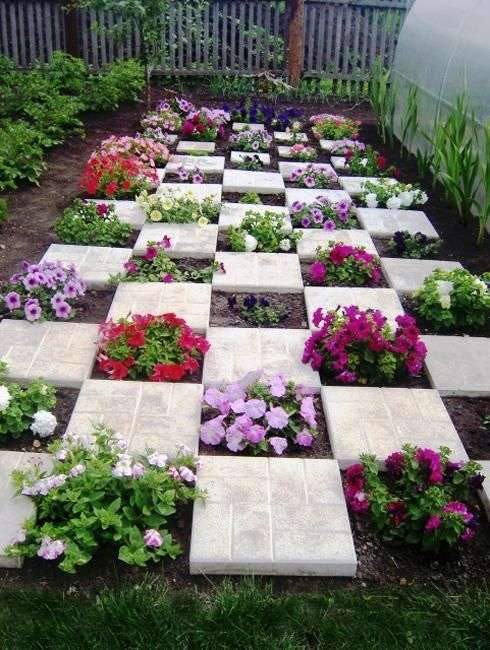 Picturesque and colorful petunias create gorgeous centerpieces for garden design and yard landscaping. A…