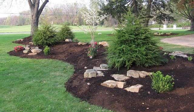 By Nikki Phipps (Author of The Bulb-o-licious Garden) A berm is an easy way…