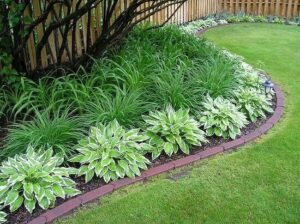 This yard has a number of ideas to cut down on landscape maintenance -…