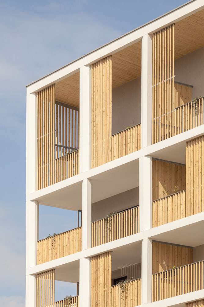 © المهندسين المعماريين تيكتون