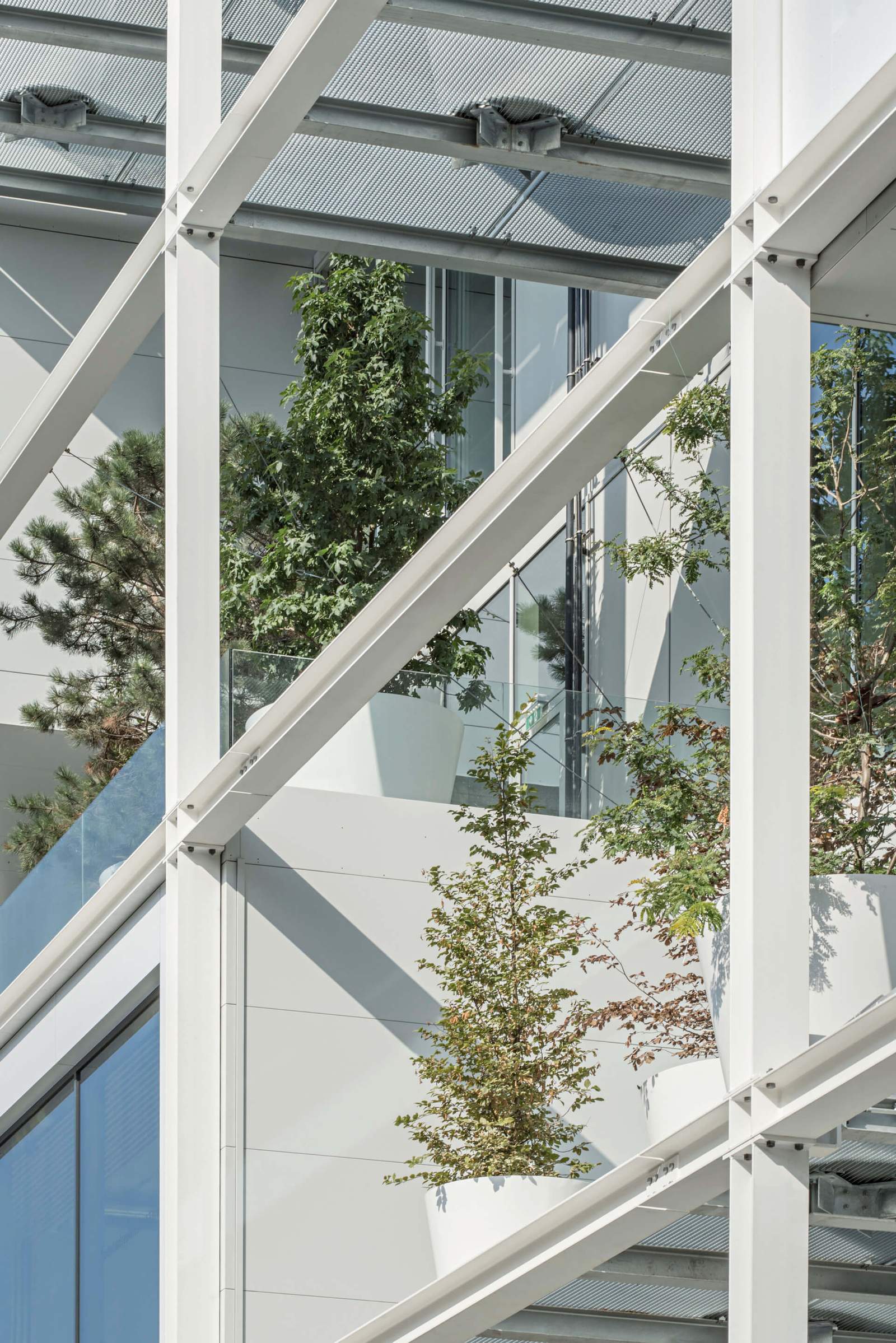 Close up view of a balcony with trees