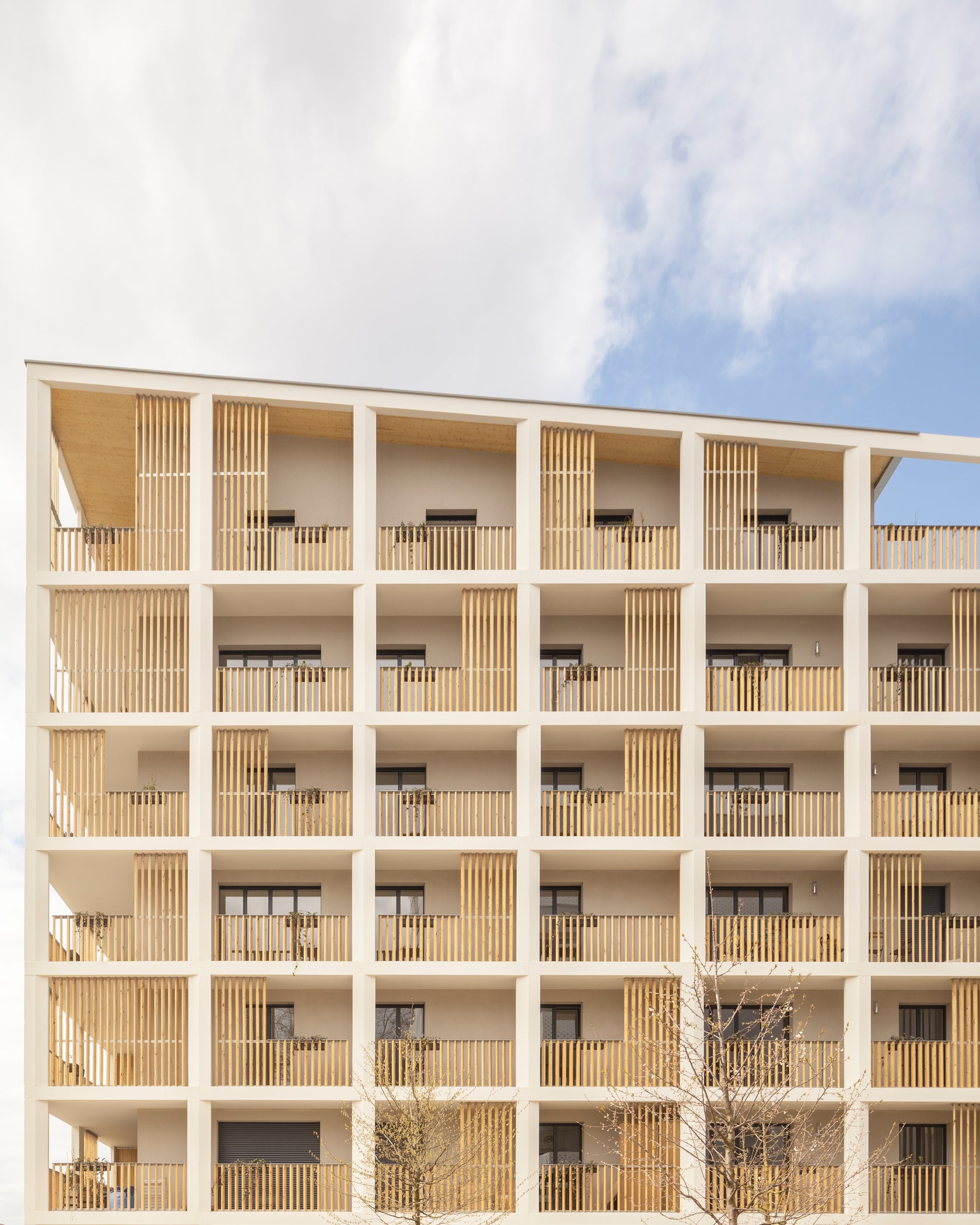 © المهندسين المعماريين تيكتون