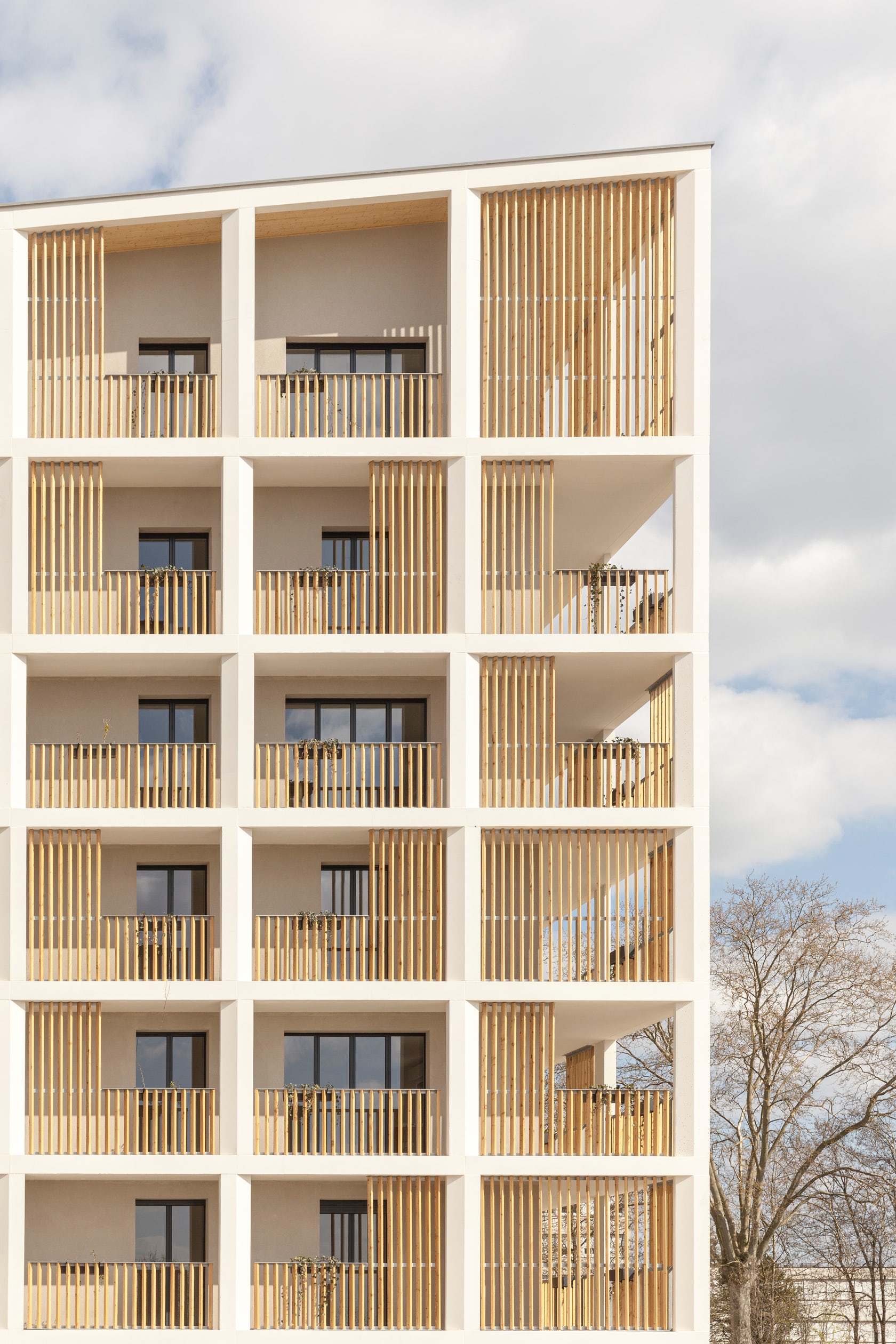 © المهندسين المعماريين تيكتون