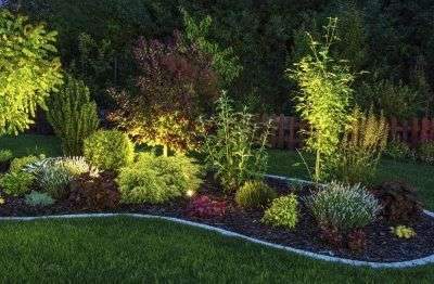 What Is A Nightscape: Learn How To Create A Nightscape Garden – Why not…