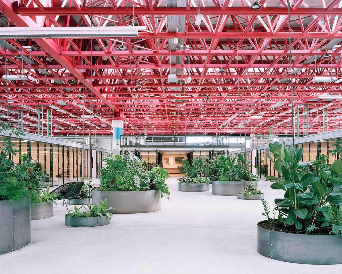 تحويل المبني الصناعي لمساحة عمل ذات سقف فولاذي وردي