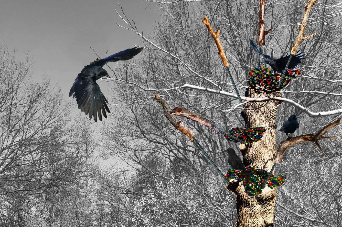 rendering of a crow habitat built for trash