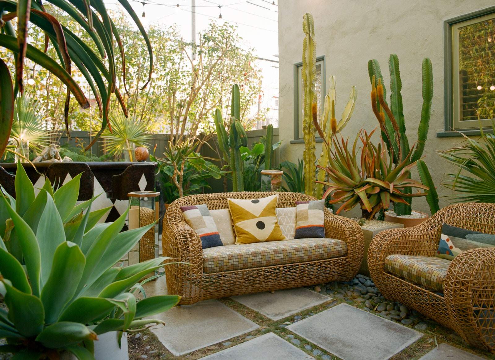 Image may contain Furniture Couch Plant Room Indoors Living Room and Table