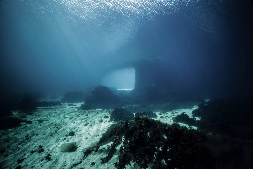 أصبح مطعم snøhetta تحت الماء عبارة عن شعاب مرجانية اصطناعية ممتلئة بالطبيعة البرية
