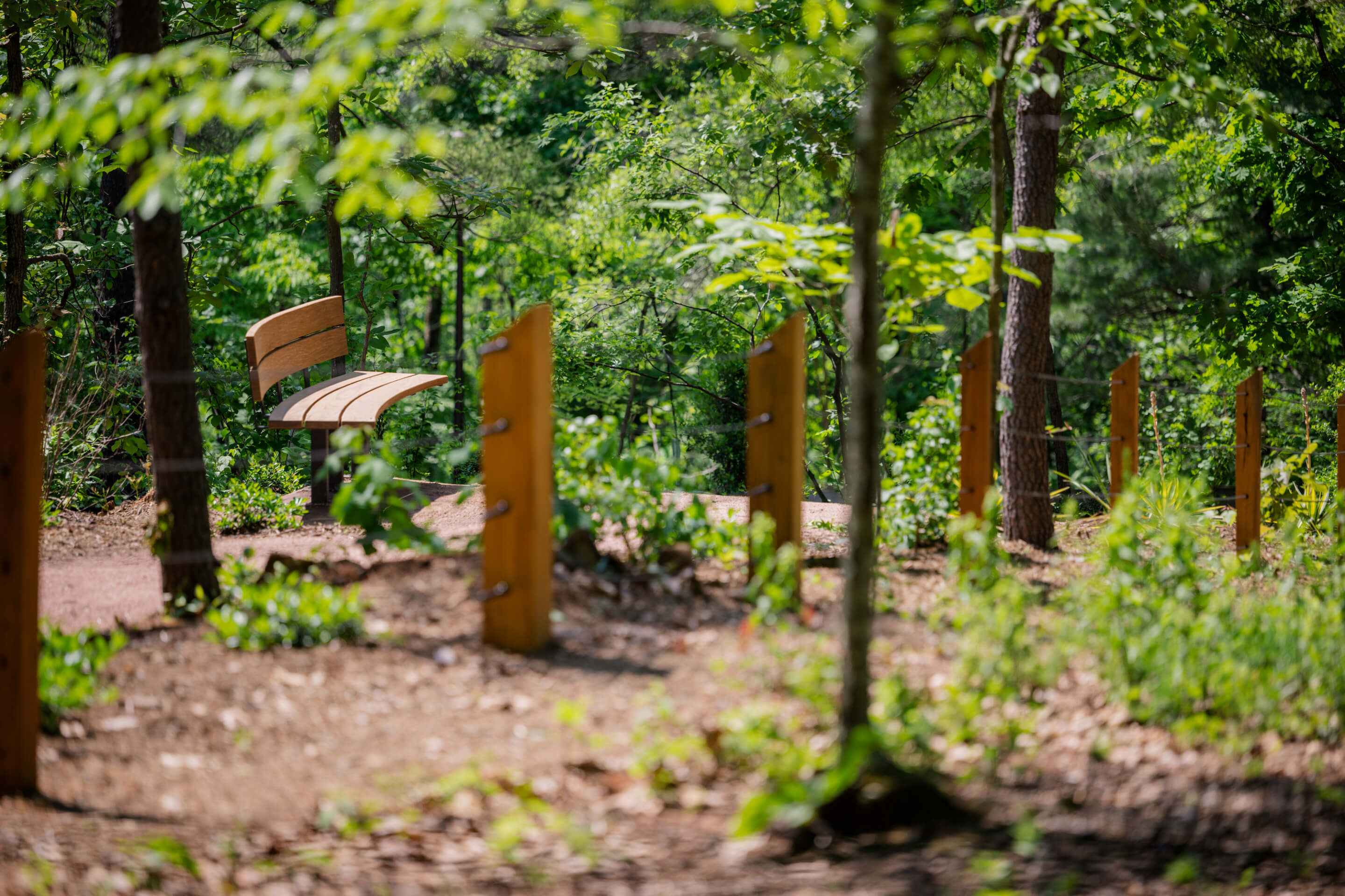 a bench in a leafy wooded landscape