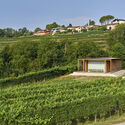 Bee House Educational Apiary / Enrico Sassi Architetto - Exterior Photography, Windows