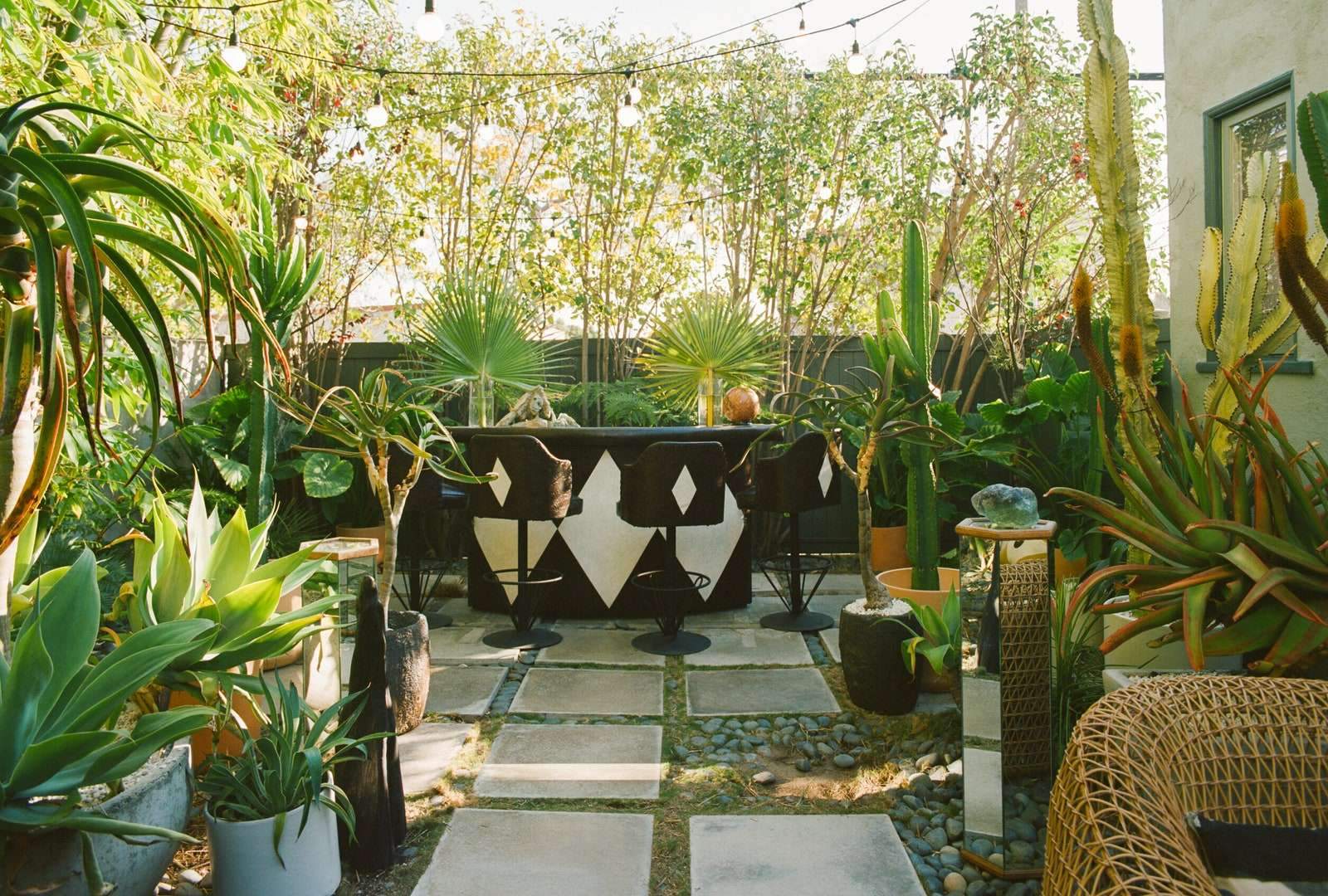 Image may contain Outdoors Garden Furniture Chair and Plant