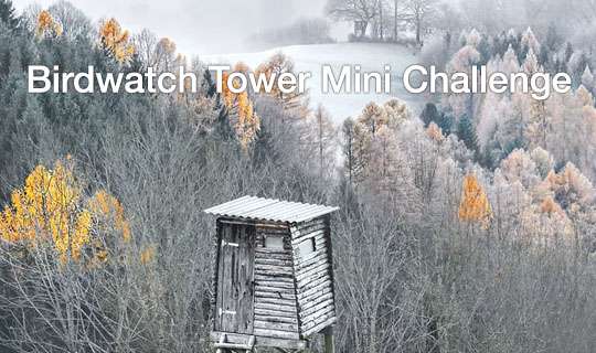 Birdwatch Tower Mini Challenge