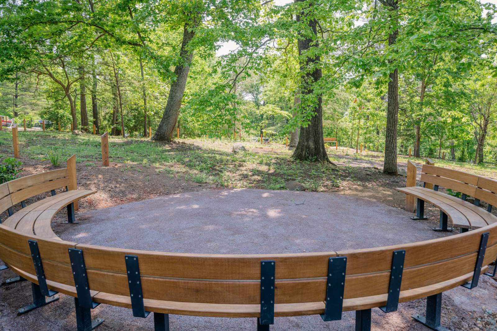a bench in a leafy wooded landscape