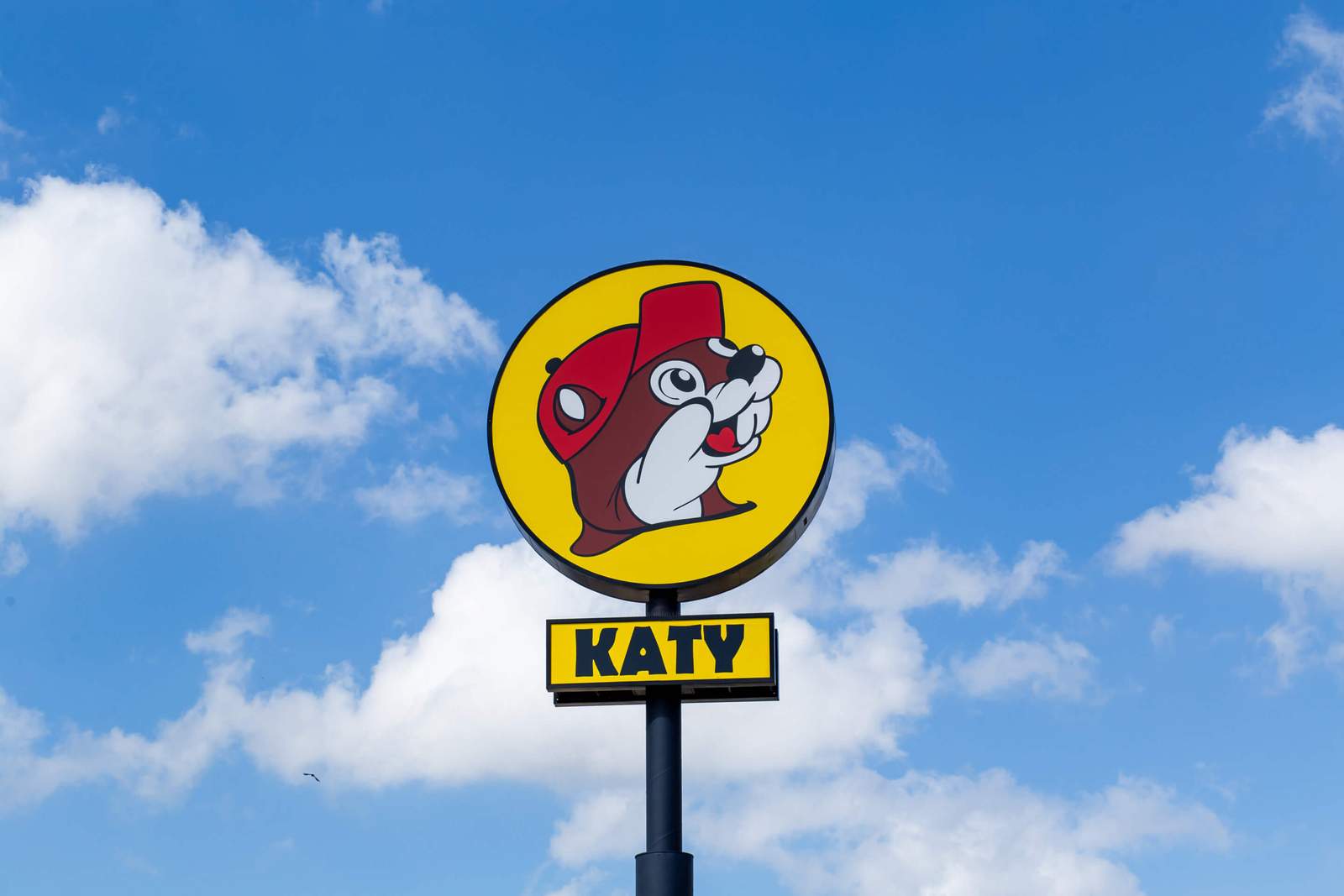 علامة توقف طريق buc-ee