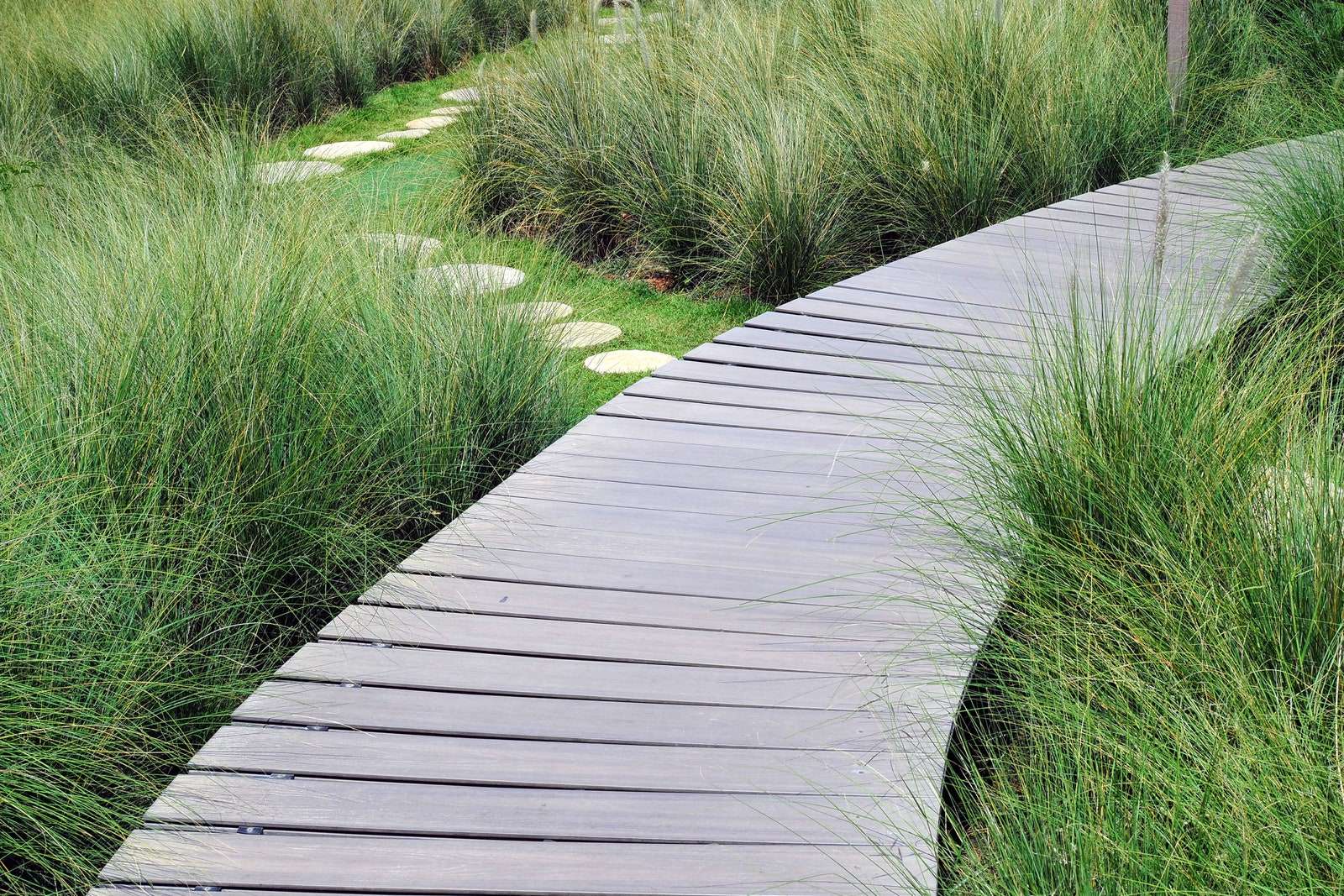 A curvy wooden boardwalk is easy on the eyes.