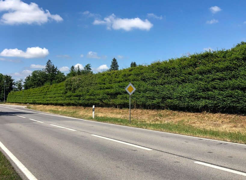 استخدام الزهور والنباتات كحواجز لمنع الضوضاء المرورية والتلوث