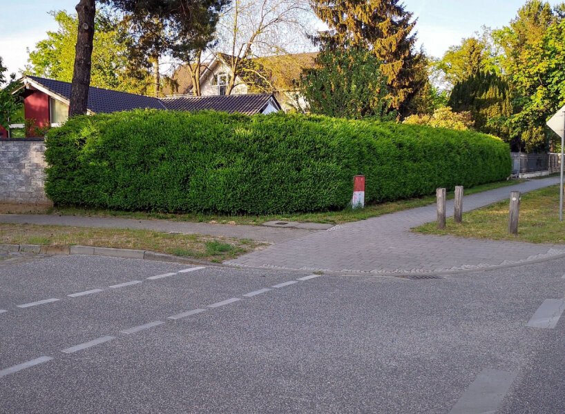 استخدام الزهور والنباتات كحواجز لمنع الضوضاء المرورية والتلوث