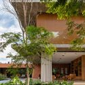 Summer House / Lucas Gonçalves Arquitetura - التصوير الخارجي ، الواجهة ، الحديقة ، الفناء