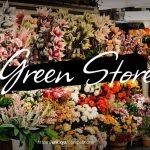Green_Store_Cover-1.jpg